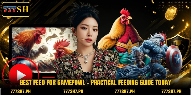 Best Feed For Gamefowl - Practical Feeding Guide Today Best Feed For Gamefowl - Practical Feeding Guide Today
