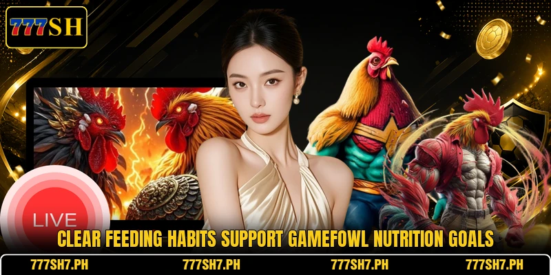 Clear feeding habits support gamefowl nutrition goals Clear feeding habits support gamefowl nutrition goals