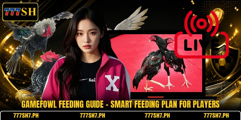 Gamefowl Feeding Guide - Smart Feeding Plan For Players Gamefowl Feeding Guide - Smart Feeding Plan For Players