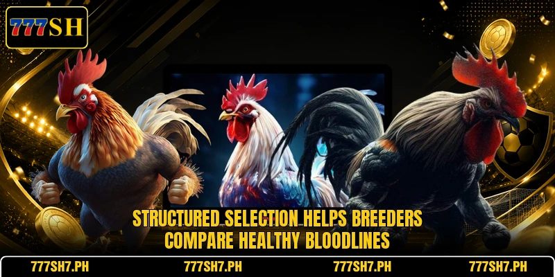 Structured selection helps breeders compare healthy bloodlines Structured selection helps breeders compare healthy bloodlines